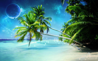 Tropical beach palm trees moon - tropical free wallpaper