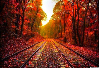Train track fall trees leaves - a train track free wallpaper