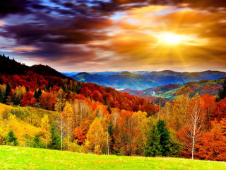Scenic mountain range trees foreground - a scenic view of a mountain range free wallpaper