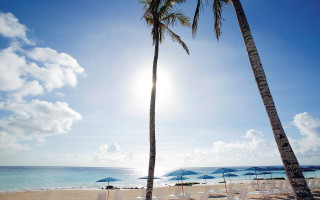 Beach palm tree chairs umbrellas - the cloud above free wallpaper for desktop