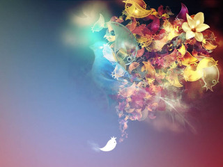 Colorful flower crescent moon computer - bird free wallpaper for desktop