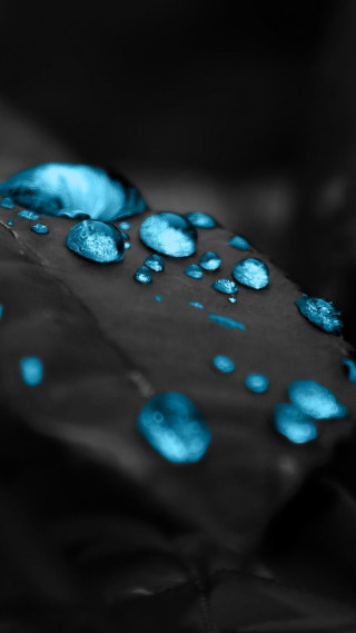 Blue umbrella water droplets black - water droplet free wallpaper for mobile