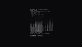 Hacker black background text 100d1d1 - ascii art free wallpaper