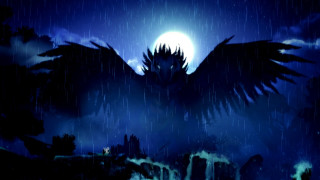 Dark blue bird wings full - a large bird free wallpaper