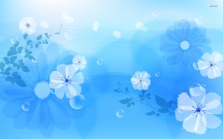 Blue background white flowers leaves - white flower and leaves free wallpaper