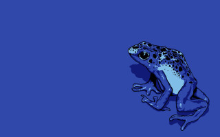 Blue frog blue surface blue - an illustration free wallpaper for desktop