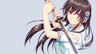 Girl longhair sword whitegreen blueflower - long hair holding free wallpaper for desktop