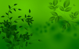 Green background leaves butterfly flying - art green free wallpaper for desktop