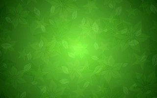 Green leaves bamboo forest plant - green background free wallpaper