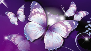 Purple background butterflies flying star - a purple background free wallpaper