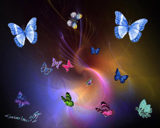 Butterflies spiral darkroom black background - a group of butterflies free wallpaper