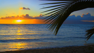 Sunset ocean palm tree boat 2 - a sunset over the ocean free wallpaper