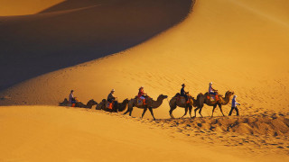 Camel riders desert group adventure 2 - amir zand free wallpaper for desktop
