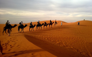 Camel ride desert group people - behind them free wallpaper for desktop