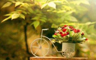 Flower pot bike decoration garden - a flower pot free wallpaper