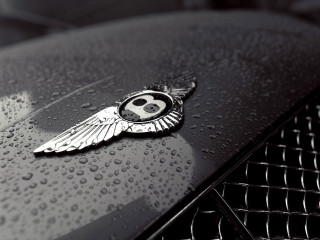 Skull wings black car hood - the hood free wallpaper