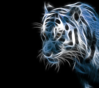 White tiger blue eyes black 2 - a digital painting free wallpaper for tablet