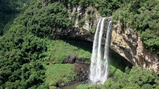 Waterfall forest river bridge nature - area free wallpaper