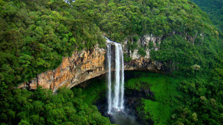 Waterfall above forest bridge lush - the middle of a forest area free wallpaper