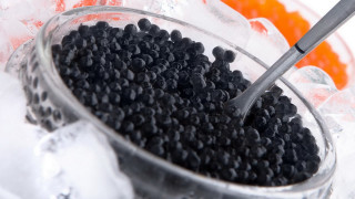 Bowl black beans oranges ice - a bowl free wallpaper