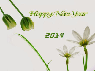 Happy new year flowers grass - a green border free wallpaper