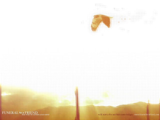 Bird flying city sunset background - over the city free wallpaper