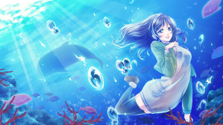 Woman floating dolphin bubbles water - a dolphin free wallpaper