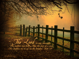Fence quote field leaves ground - the ground and a tree in the background free wallpaper