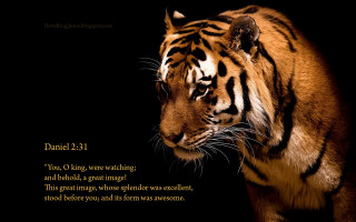 Tiger bible verse black background - the book free wallpaper