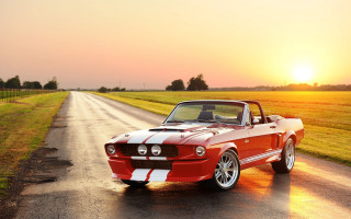 Mustang country road sunset cobra - the sun setting behind free wallpaper
