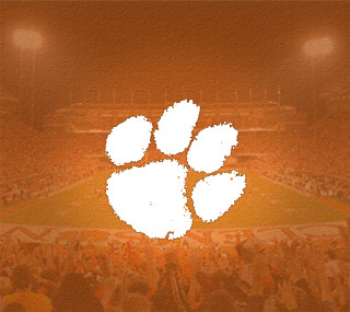 Stadium crowd white bear paw - free aesthetic wallpaper for tablet