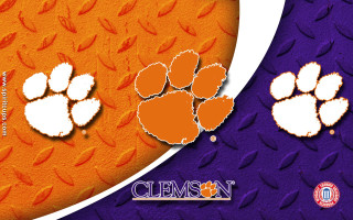 Clemson logo purple orange background - a white circle free wallpaper