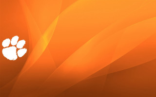Bear paw orange white geometric - a orange background free wallpaper
