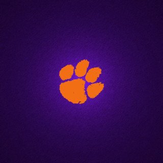 Purple orange background paw print - bradley walker tomlin free wallpaper for tablet
