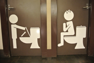 Brown doors white stickers toilet - concept art free wallpaper