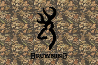 Deer head browning brown black - the middle of its free wallpaper