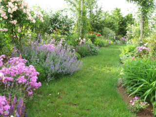 Garden path flowers trees background - blunt border free wallpaper