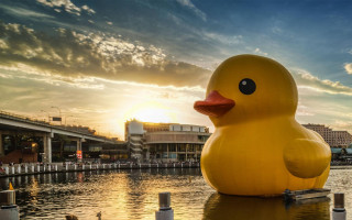 Large rubber ducky lake pier - ducky free wallpaper