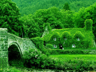 Enchanted ivy house bridge river - a mountain in the distance free wallpaper