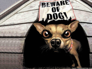 Dog sign doghouse beware of - art spiegelman free wallpaper
