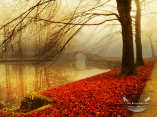Foggy bridge river red leaves - the ground and trees free wallpaper