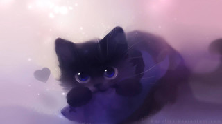 Black cat blue eyes heart - its chest free wallpaper