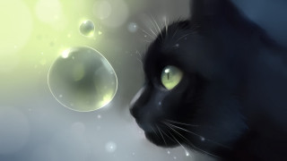 Black cat green eyes bubbles - bubble of water free wallpaper