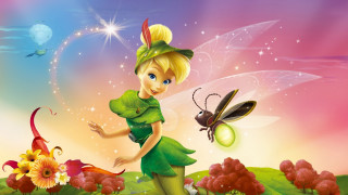 Cartoon fairy green dress bug - a butterfly free wallpaper for desktop