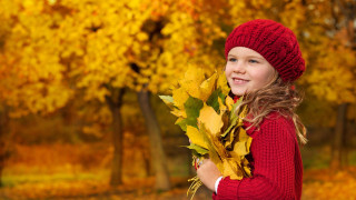 Young girl autumn leaves park - elizabeth durack free wallpaper