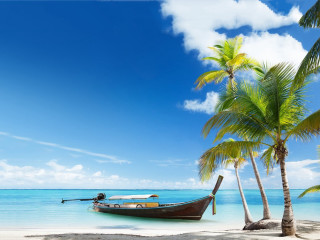 Boat beach palm trees blue 6 - a boat free wallpaper for desktop