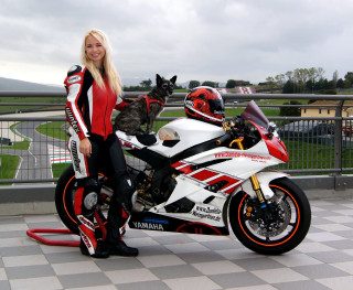 Woman motorcycle cat seat dog - the back of it free wallpaper