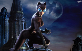 Woman cat suit castle pose 3 - a woman in a cat suit free wallpaper