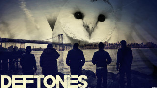 People owl river bank bridge - chase stone free wallpaper
