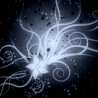 White flower swirls bubbles black - free stars wallpaper for tablet